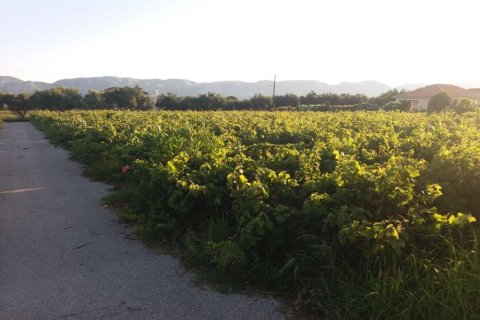 Land in Zakynthos, Greece No. 104858 1
