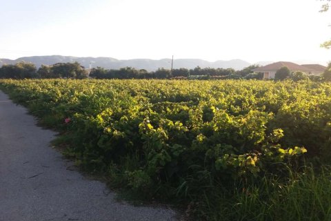 Land in Zakynthos, Greece No. 104858 2