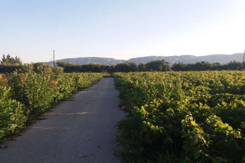 Land in Zakynthos, Greece No. 104858 7