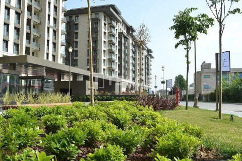 1 dormitorio Apartment en Chau Doc, Vietnam No. 11752 18