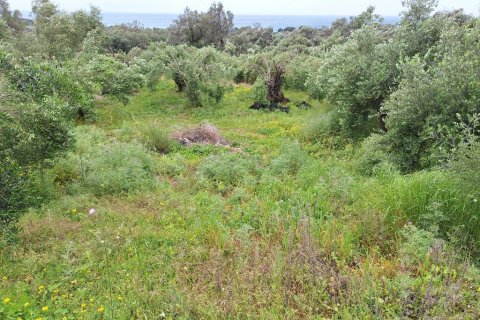 6700m² Land in Corfu, Greece No. 107986 9