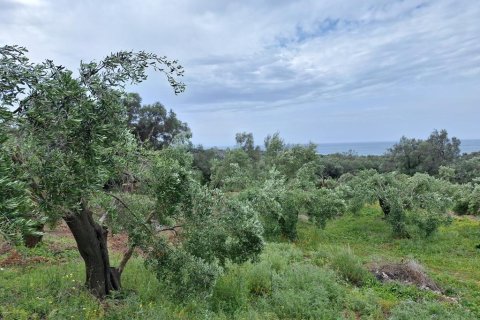 6700m² Land in Corfu, Greece No. 107986 4