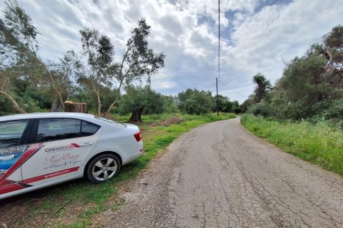 6700m² Land in Corfu, Greece No. 107986 7