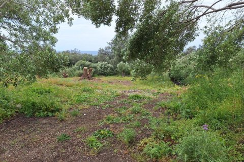 6700m² Land in Corfu, Greece No. 107986 8