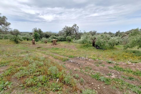 6700m² Land in Corfu, Greece No. 107986 5