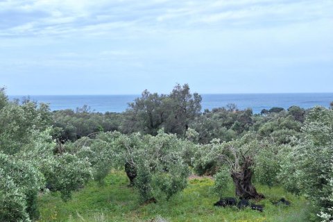 6700m² Land in Corfu, Greece No. 107986 3