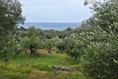 6700m² Land in Corfu, Greece No. 107986 1