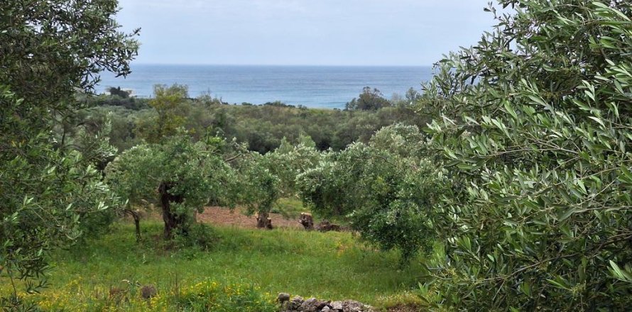 6700m² Land in Corfu, Greece No. 107986