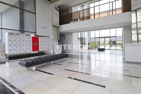 1 dormitorio Apartment en Luong Hoa, Vietnam No. 16585 10