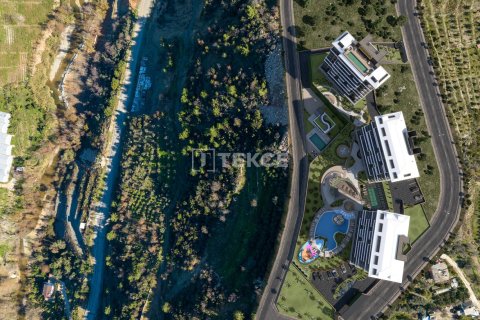 2 chambres Penthouse à Chau Lang, Vietnam No. 86052 6