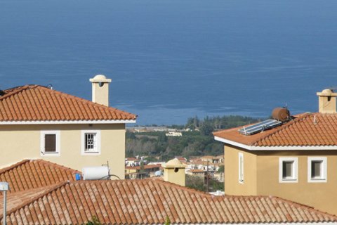 3 rooms Villa in Paphos, Cyprus No. 105225 2