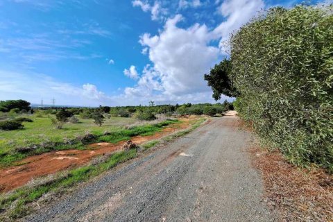 4 dormitorios House en Ayia Napa, Cyprus No. 39297 5