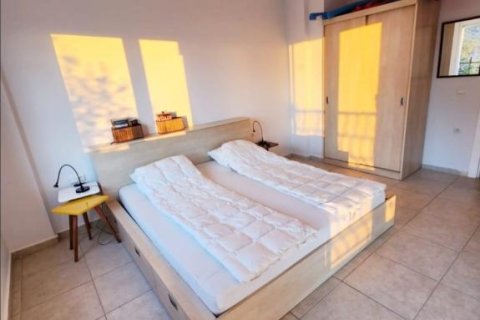 3 rooms Apartment in Chau Lang, Vietnam No. 17723 3