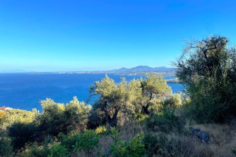 4982m² Land in Corfu, Greece No. 107312 4