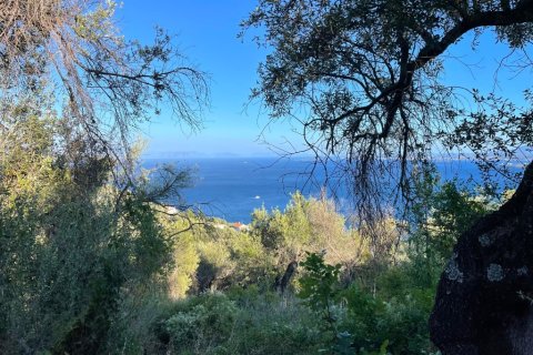 4982m² Land in Corfu, Greece No. 107312 7