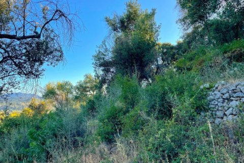 4982m² Land in Corfu, Greece No. 107312 10