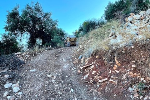 4982m² Land in Corfu, Greece No. 107312 8