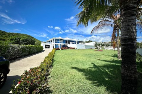 4 bedrooms Villa in Piccadilly, Antigua and Barbuda No. 61398 1