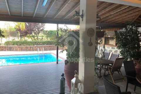 5 chambres House à Ergates, Cyprus No. 80049 10