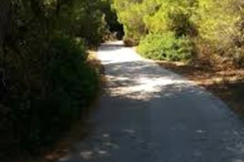 4 bedrooms Apartment in Rafina, Greece No. 113135 14