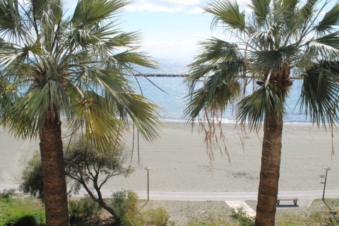 3 chambres Appartement à Limassol, Cyprus No. 105613 5