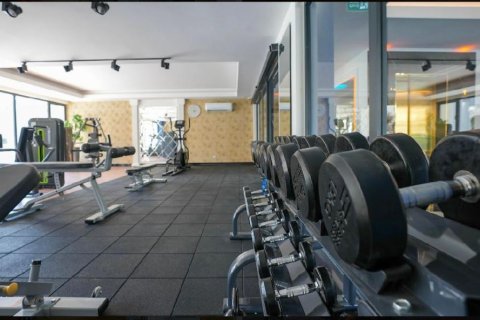 3 rooms Apartment in Chau Lang, Vietnam No. 66323 7