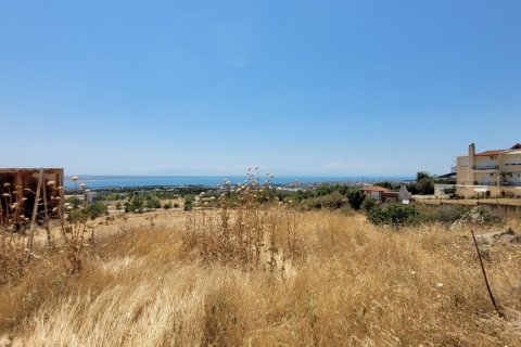 7000m² Land à Panorama, Greece No. 107495 4