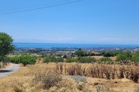 7000m² Land à Panorama, Greece No. 107495 6