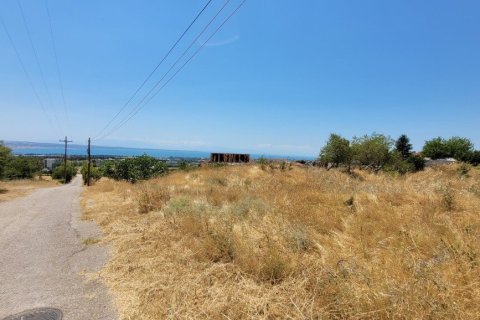 7000m² Land à Panorama, Greece No. 107495 14