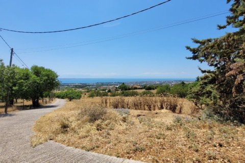 7000m² Land à Panorama, Greece No. 107495 5