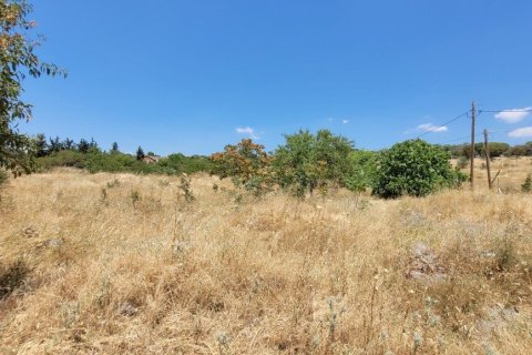 7000m² Land à Panorama, Greece No. 107495 12