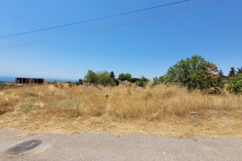 7000m² Land à Panorama, Greece No. 107495 8