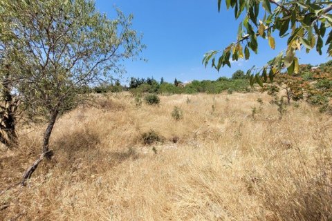 7000m² Land à Panorama, Greece No. 107495 9