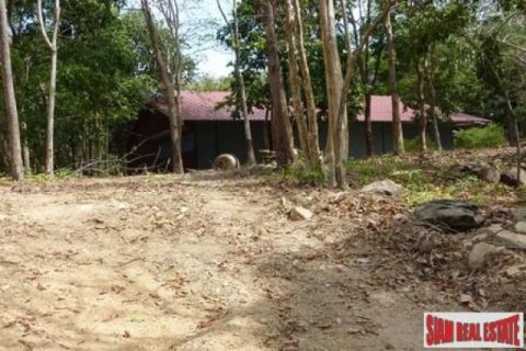 12000m² Land en Ko Lanta Yai, Thailand No. 96486 4