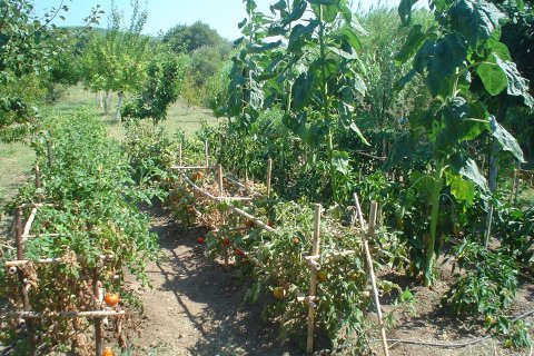 4 rooms House à Karystos, Greece No. 60531 12