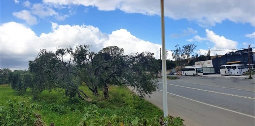 4000m² Land in Hersonissos, Greece No. 56296