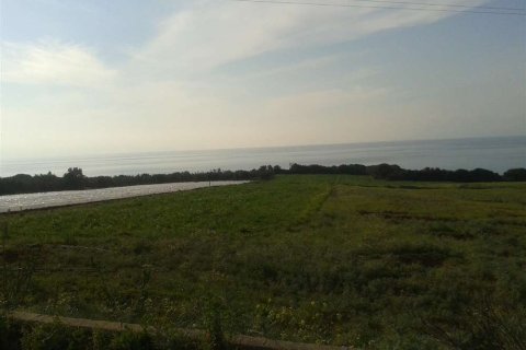 Land in Elis, Greece No. 28128 5