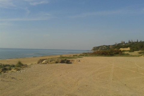 Land in Elis, Greece No. 28128 10