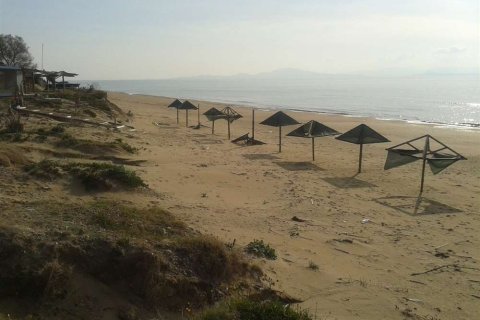 Land in Elis, Greece No. 28128 9