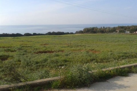 Land in Elis, Greece No. 28128 16