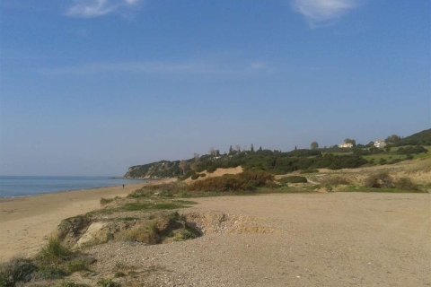 Land in Elis, Greece No. 28128 4