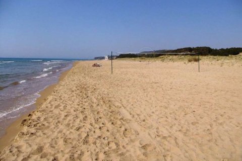 Land in Elis, Greece No. 28128 3