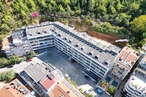 2 bedrooms Apartment in Hoang An, Vietnam No. 11078 7