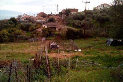 Земельный участок 1000м² в Мессиния, Греция №58840 5