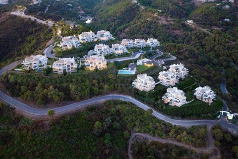 3 bedrooms Penthouse in Cat Trinh, Vietnam No. 27421 4