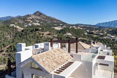 3 bedrooms Penthouse in Cat Trinh, Vietnam No. 27421 8