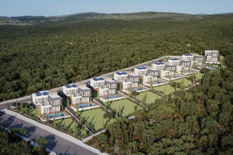 3 chambres Villa à Tala, Cyprus No. 84079 1