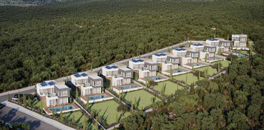 3 chambres Villa à Tala, Cyprus No. 84079