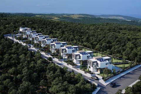 3 chambres Villa à Tala, Cyprus No. 84079 4