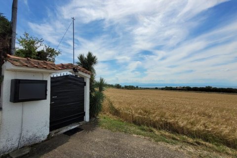 3 bedrooms House in Thessaloniki, Greece No. 56678 18